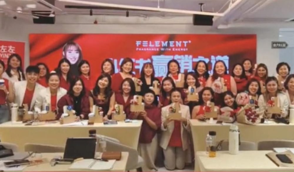 Felement 企业培训现场