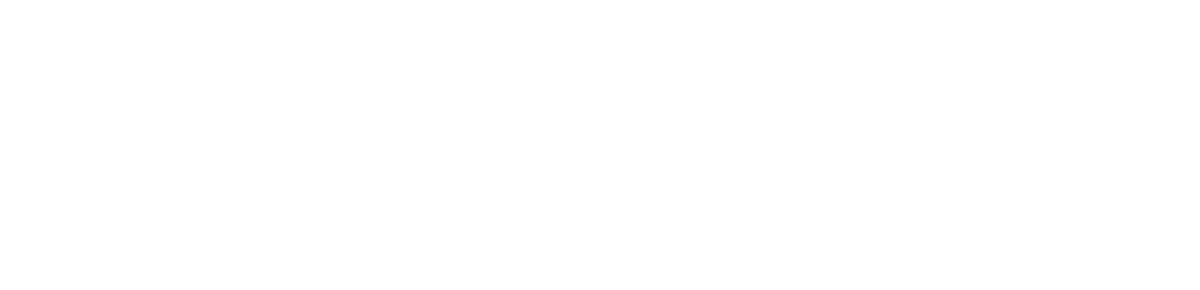 左左 VINJO